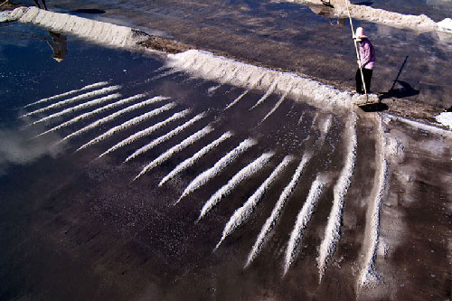 Mãn nhãn trước những hình ảnh đẹp về cánh đồng muối Long Điền