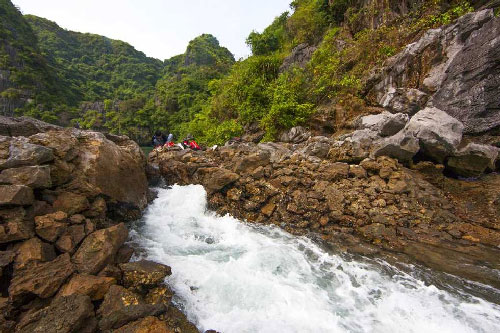 Ngỡ ngàng trước cảnh đẹp tùng Ngón