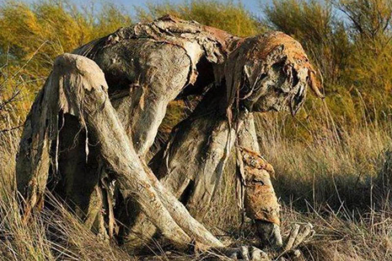 Buổi tối gặp những bức tượng đầm lầy này đảm bảo du khách hết hồn bỏ chạy