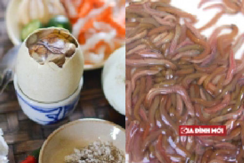 7 đặc sản kinh dị của Việt Nam khiến thực khách quốc tế 'sợ chết khiếp'
