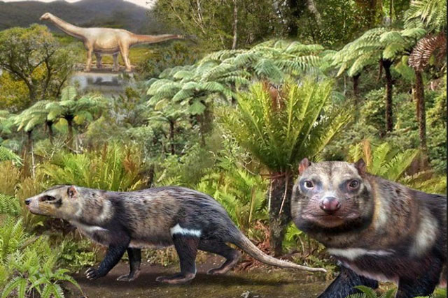 Khai quật được "quái vật 5 răng" khác lạ từng sống giữa bầy khủng long