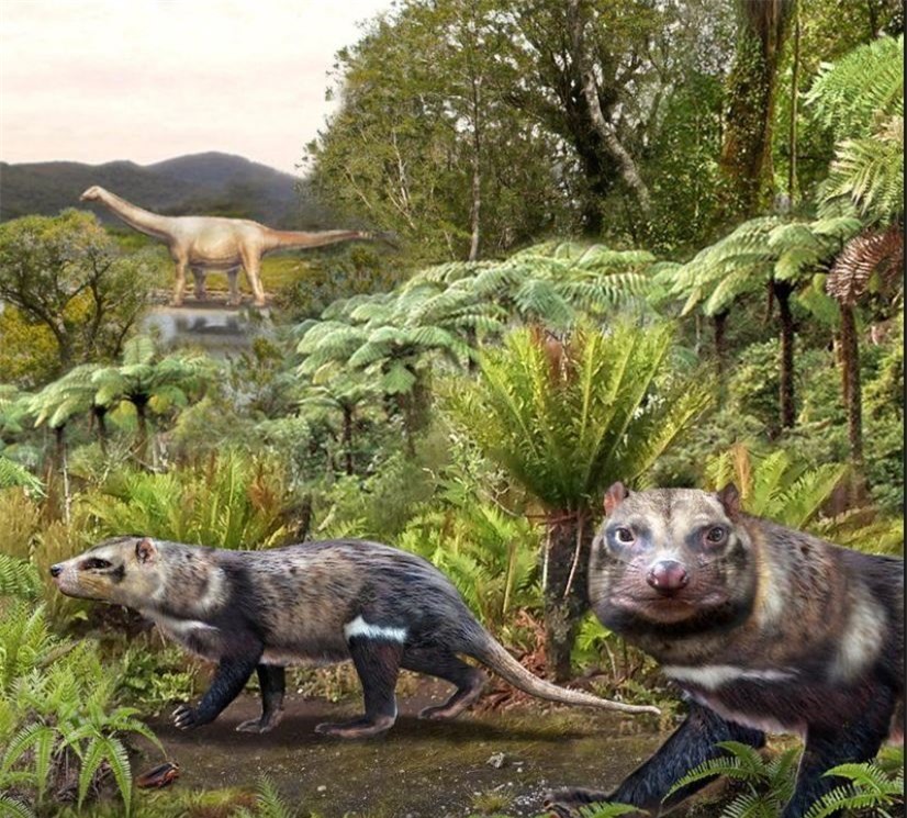 Ảnh minh họa về loài động vật có vú được gọi là Orretherium tzen sống cùng thời với khủng long. Ảnh: Viện Nam Cực Chile.