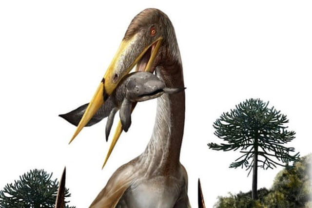 Giải mã bí mật về quái vật khổng lồ biết bay thời tiền sử