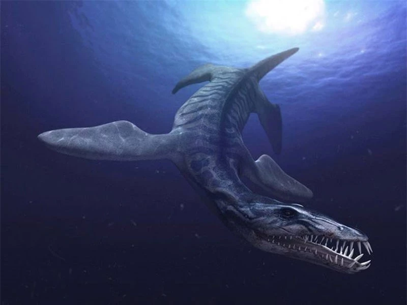 Liopleurodon.