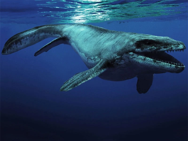 Mosasaurus.