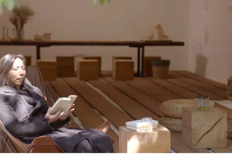 Lạ lùng căn nhà không giường, không ghế nhưng xây cầu, “tổ chim” bên trong, tất cả đều bằng gỗ