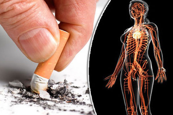 Điều gì sẽ xảy ra với cơ thể sau khi bạn bỏ thuốc lá?