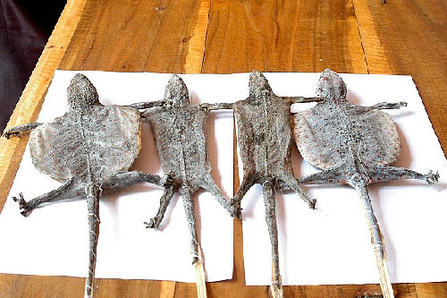 Những đặc sản miền Tây khiến du khách phải "khóc thét"