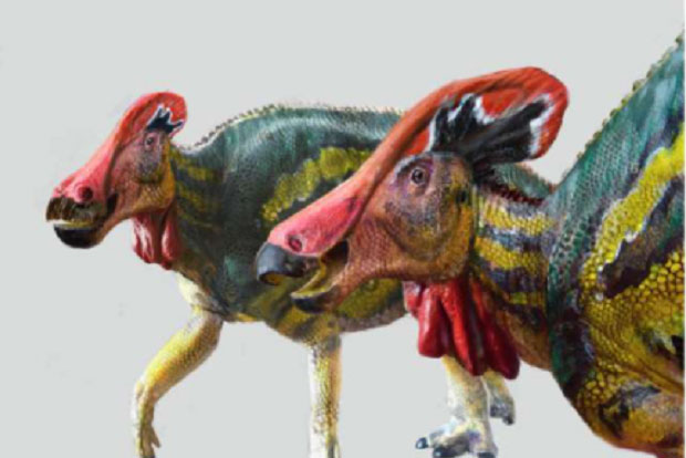 Tìm thấy hóa thạch 72 triệu năm của khủng long mỏ vịt có mào dài hơn 1,3 m