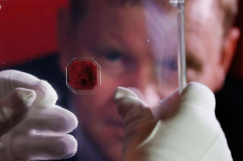 Con tem đắt nhất thế giới được định giá 15 triệu USD