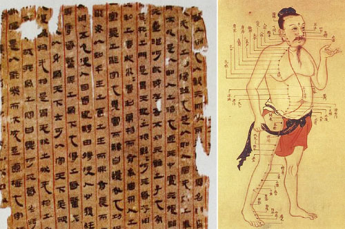 Tài liệu giải phẫu người lâu đời nhất còn tồn tại đến ngày nay