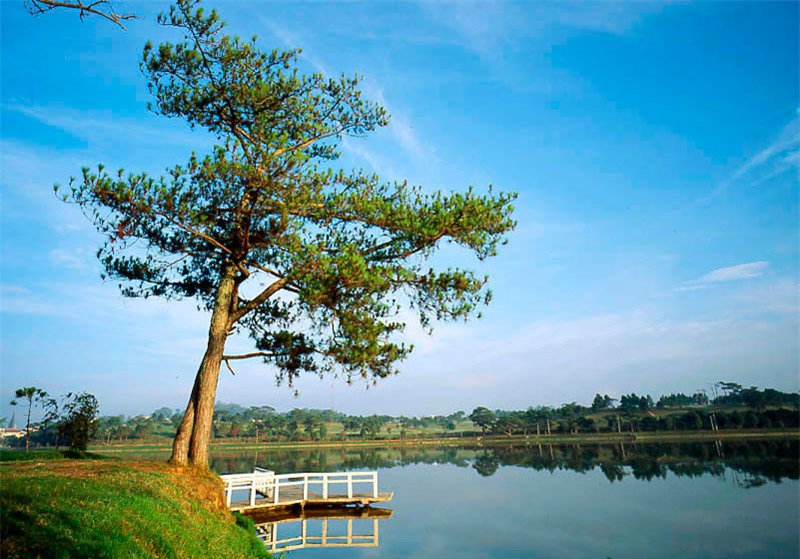 Hồ Xuân Hương là hồ nhân tạo, có chu vi chừng 5 km, rộng 25ha, có hình trăng lưỡi liềm kéo dài hơn 2 km đi qua nhiều địa danh du lịch của thành phố Đà Lạt như: Vườn hoa thành phố, Công viên Yersin, Đồi Cù. Ảnh: Thuyngakhanhhoa.