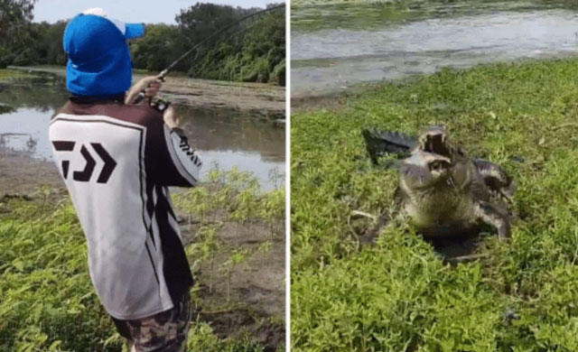 CLIP: Cái kết ‘đắng ngắt’ cho chàng trai câu cá trong lãnh địa của cá sấu khổng lồ