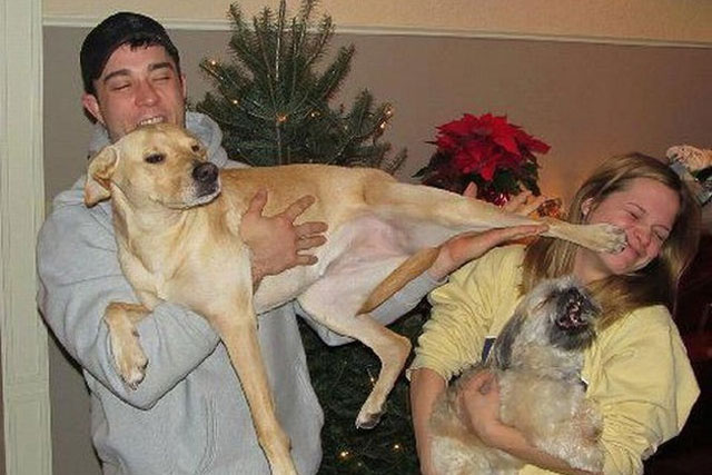 Những khoảnh khắc vui nhộn, bất chấp mọi quy tắc của động vật