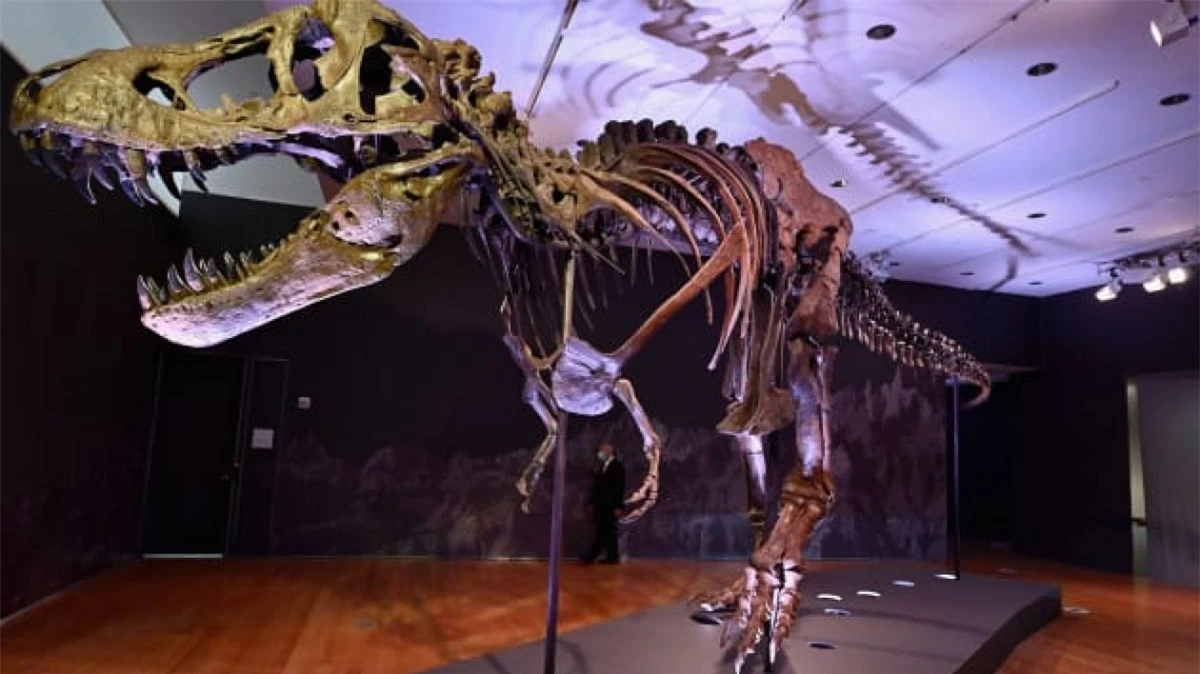 Hóa thạch khủng long Tyrannosaurus có biệt danh Stan, được bán đấu giá 31,85 triệu USD đã trở thành hóa thạch khủng long đắt nhất từng được bán.
