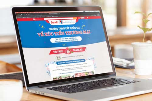 Sendo và hành trình khẳng định vị thế là Sàn Thương mại điện tử của người Việt
