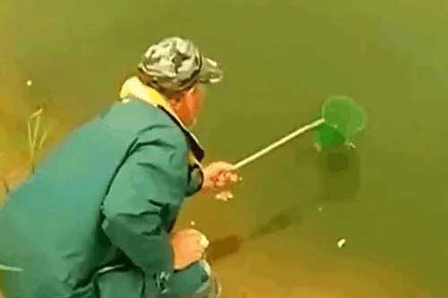 Thấy con cá dưới ao có đôi mắt rất lạ, người đàn ông tìm cách bắt lên nhưng vừa nhìn đã lập tức thả ngay xuống nước