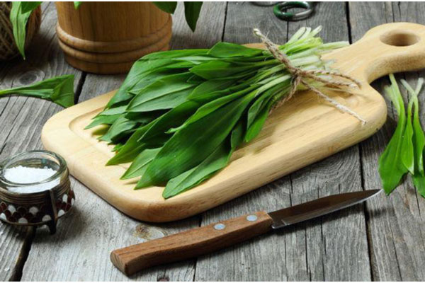 Tỏi gấu - Rau mọc dại nấu được đủ món ngon nhưng dễ nhầm với loại cây có độc