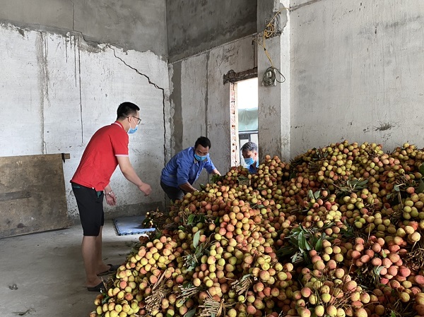 Chủ tịch Sendo: Thương mại điện tử là kênh tiêu thụ nông sản mới cho nông dân