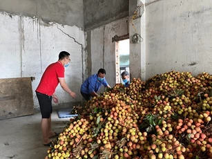 Chủ tịch Sendo: Thương mại điện tử là kênh tiêu thụ nông sản mới cho nông dân