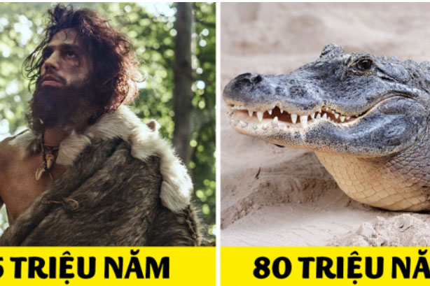 20 loài động vật đã tồn tại trên Trái Đất lâu hơn con người