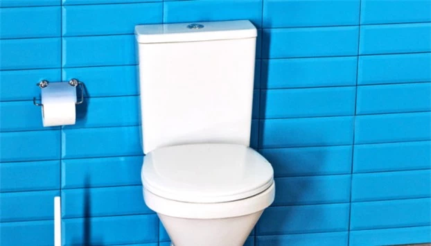 Vì sao toilet thường có màu trắng? 4