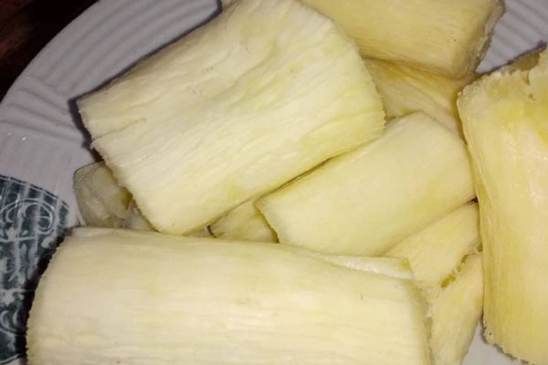 Top 10 loại rau củ gây ngộ độc nghiêm trọng nếu không được chế biến kỹ