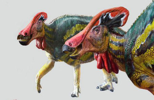 Phát hiện loài khủng long... biết nói sống ở Mexico 72 triệu năm trước