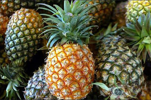 Những điều cần đặc biệt chú ý khi ăn dứa mùa hè