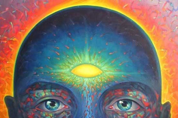 Động vật có con mắt thứ 3 không?