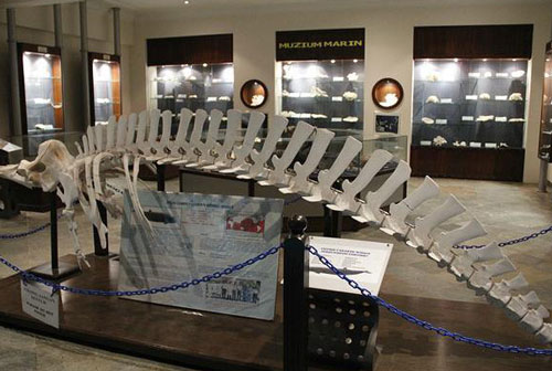 Mưa to liên tiếp 40 ngày, lộ ra xác rồng khổng lồ ở Trung Quốc, đài CCTV vào cuộc truy tìm: Sự thật bất ngờ!