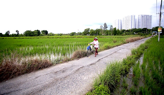 Hệ số điều chỉnh giá đất nông nghiệp tại TP.HCM đất vẫn chưa sát thực tế