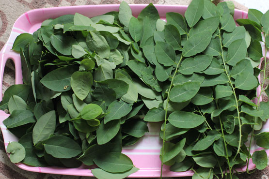 3 cách trị nhiệt miệng bạn cần nhớ