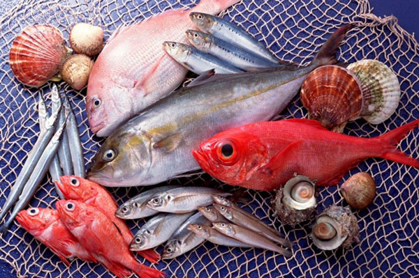3 loại cá nên hạn chế ăn để tốt cho sức khỏe