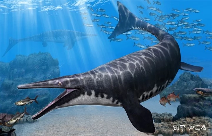 Phát hiện loài Thương long mới sở hữu cá miệng của loài cá sấu - Ảnh 7.