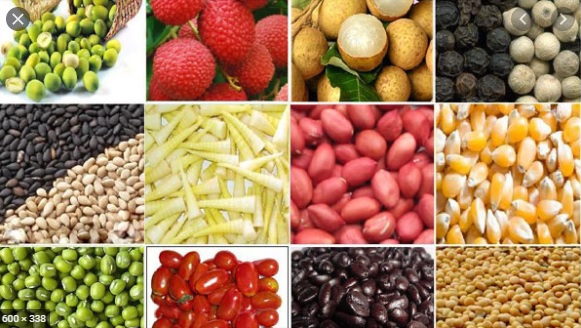 Đề nghị ưu tiên cấp C/O trong thời gian sớm nhất với nông sản xuất khẩu 