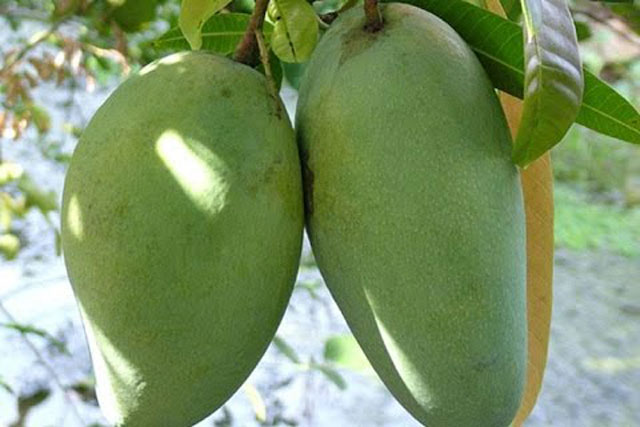 Thực phẩm tuyệt đối không ăn khi bị trào ngược dạ dày