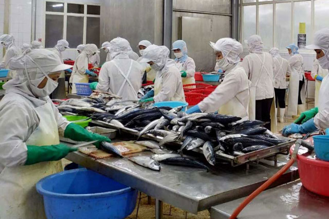 Xuất khẩu thủy sản được dự báo khởi sắc trong các tháng tới