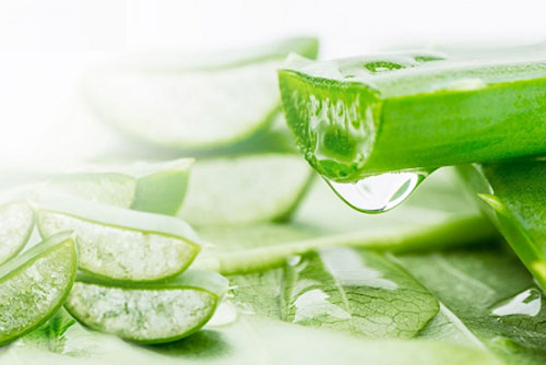 2 cách làm trắng da tại nhà cực nhanh với nha đam