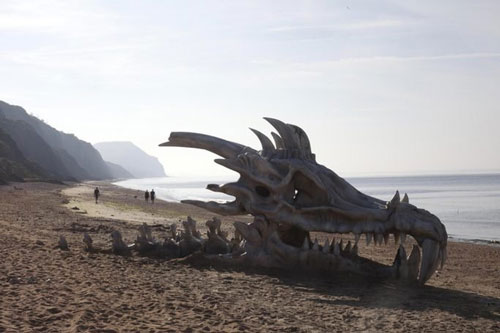 Những thứ con người "nhặt" được trên bãi biển: Kích thước thứ số 6 gây kinh ngạc