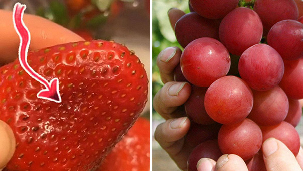 3 loại trái cây dễ chứa nhiều ký sinh trùng nhất, toàn là đặc sản đắt tiền