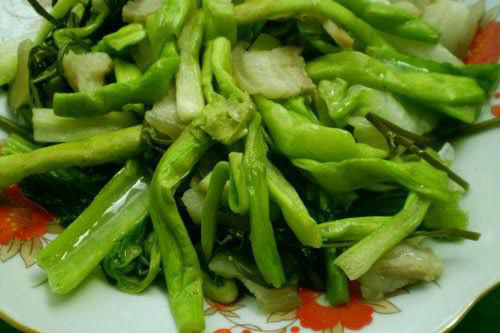 Những loại rau cho lợn giờ thành đặc sản được săn lùng