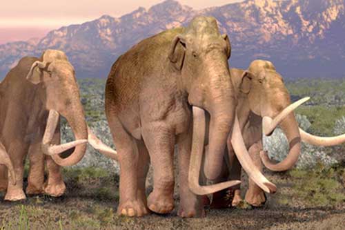 Những loài động vật khủng khiếp nhất mà người tiền sử từng phải đối mặt