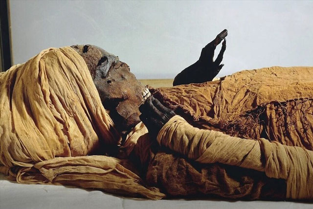 Giải mã xác ướp Ai Cập hé lộ vụ sát hại tàn khốc Pharaoh sau 3.600 năm