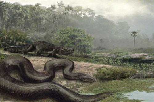 Loài quái vật khổng lồ vẫn đang sống trong rừng Amazon?