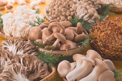 Các loại thực phẩm nâng cao sức đề kháng