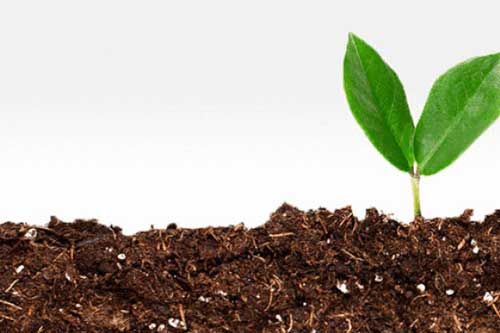 Vì sao đất lại có màu nâu?