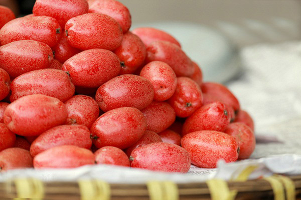 Quả nhót - bài thuốc dân gian chữa bệnh tuyệt vời