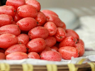 Quả nhót - bài thuốc dân gian chữa bệnh tuyệt vời