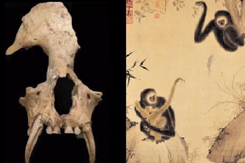 Khai quật lăng mộ bà nội Tần Thủy Hoàng, chuyên gia sửng sốt khi phát hiện những thứ bên trong